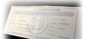 CAN I OBTAIN A BUSINESS LICENSE ONLINE