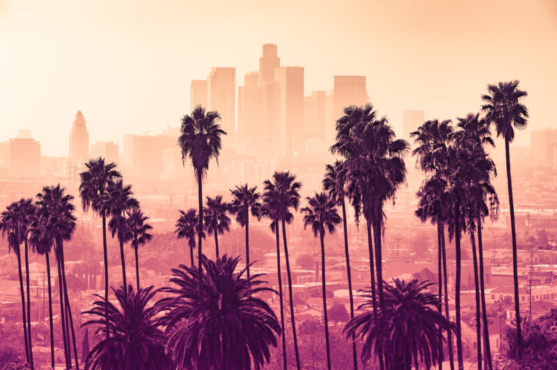 Los Angeles skyline with palm trees in the foreground