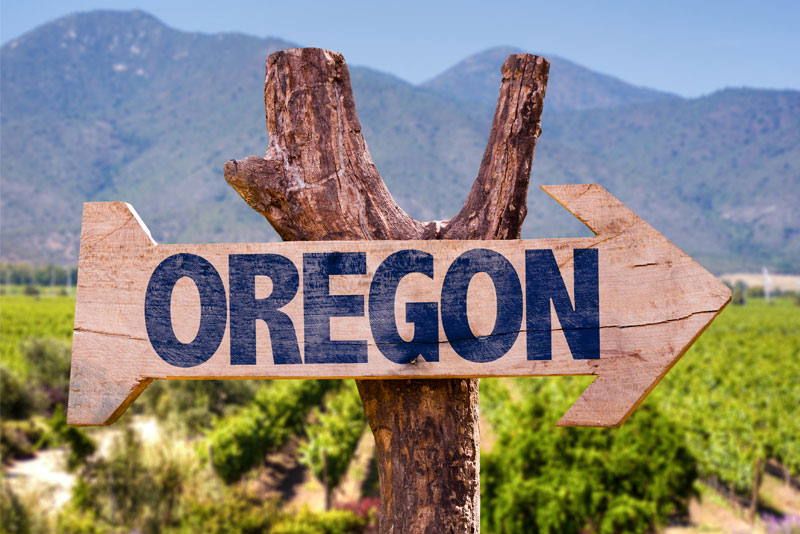 How to Register a Business in Oregon