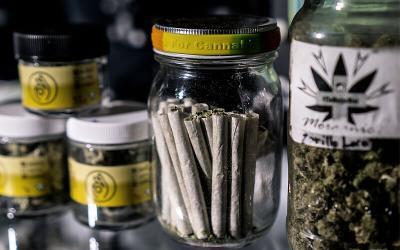 How to Start a Marijuana Business in California