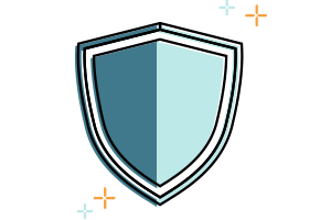 Shield Icon