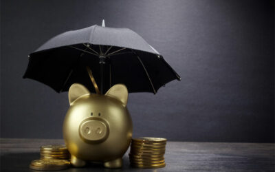 Obtain Asset Protection for Your Business