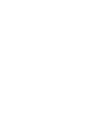 Shield and Checkmark Icon